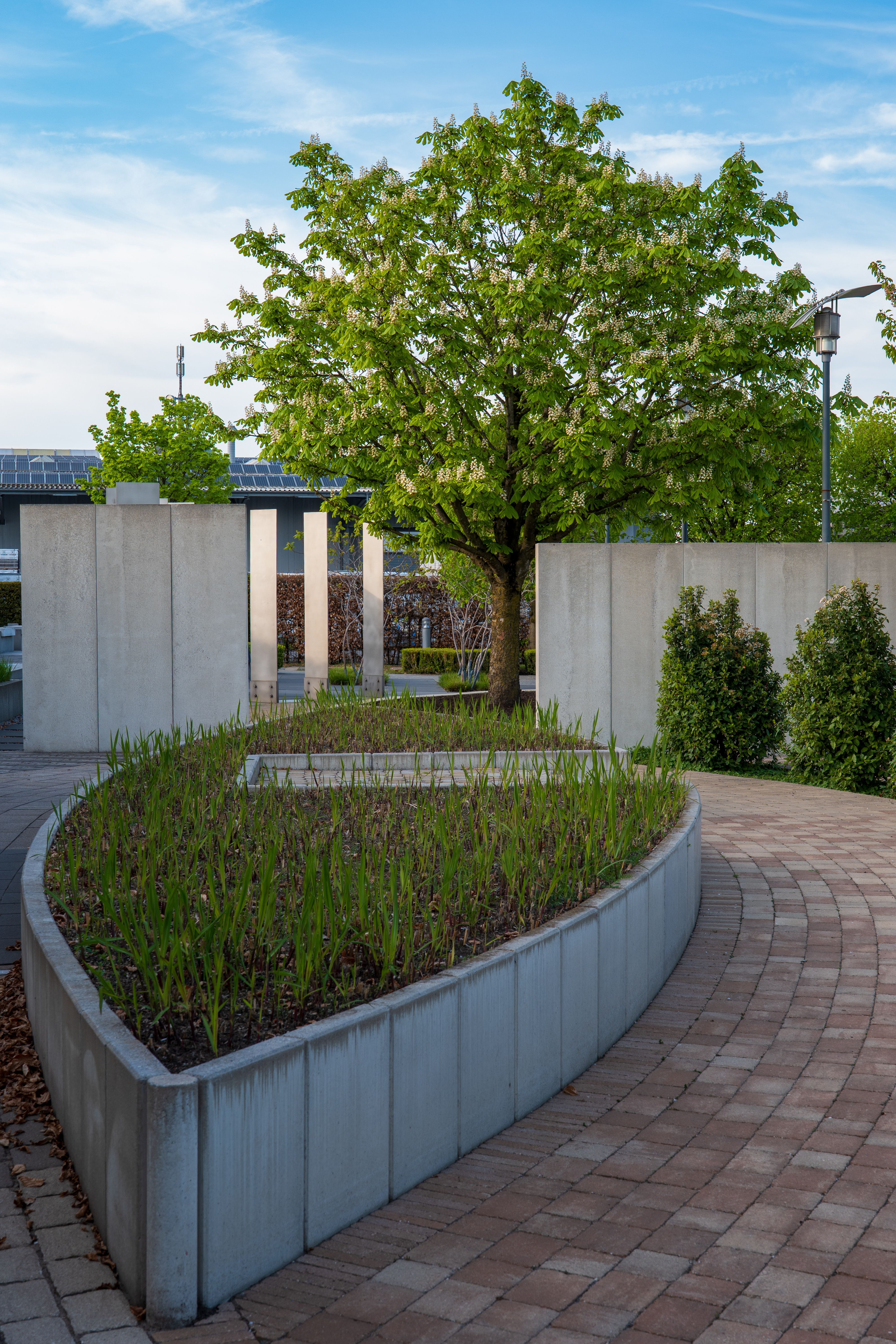 Garten Projektbild 2